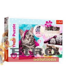 TF Puzzle "160" -Lovely kittens